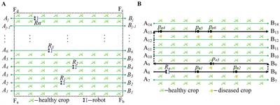 Multi-robot collision avoidance method in sweet potato fields